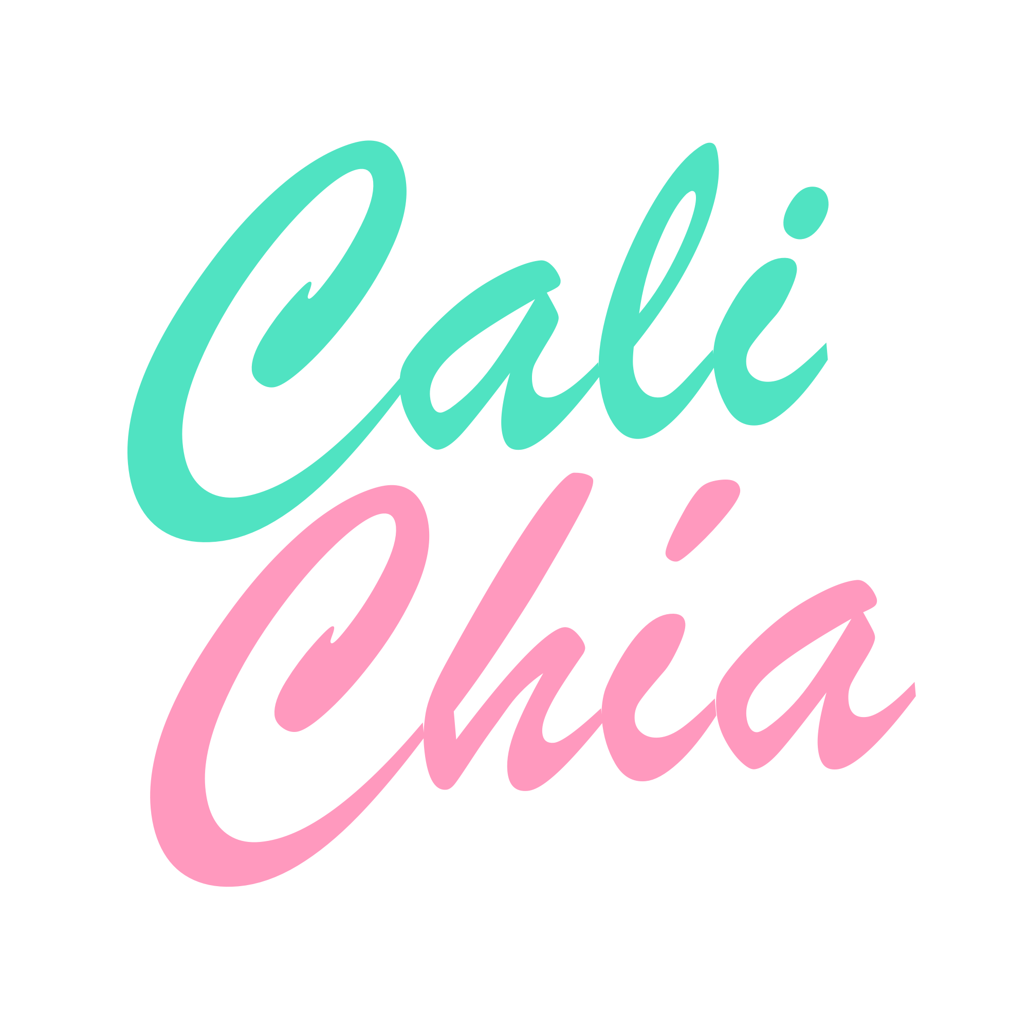 Cali Chía
